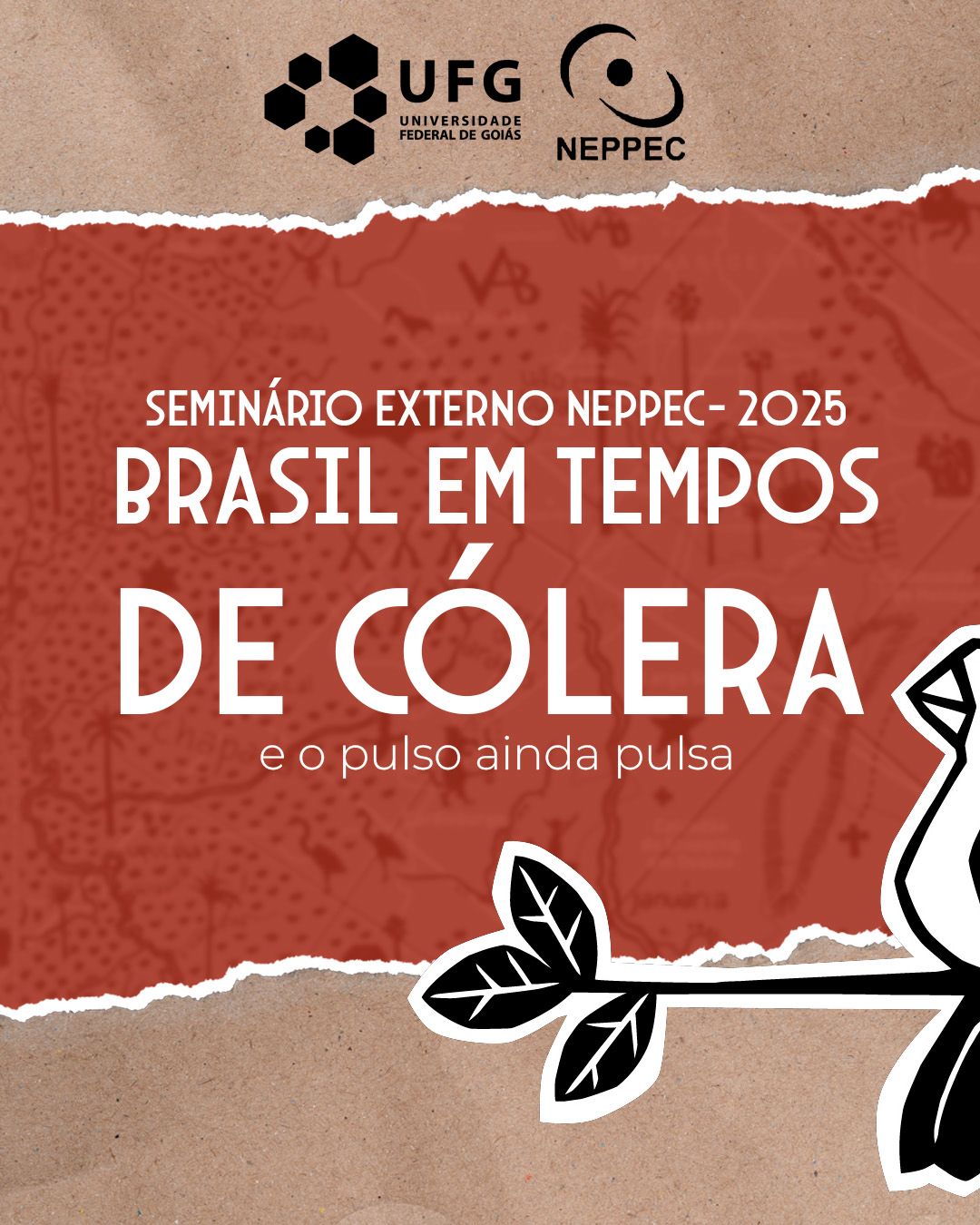 Lançamento do livro na UFG durante o Seminário Externo NEPPEC 2025